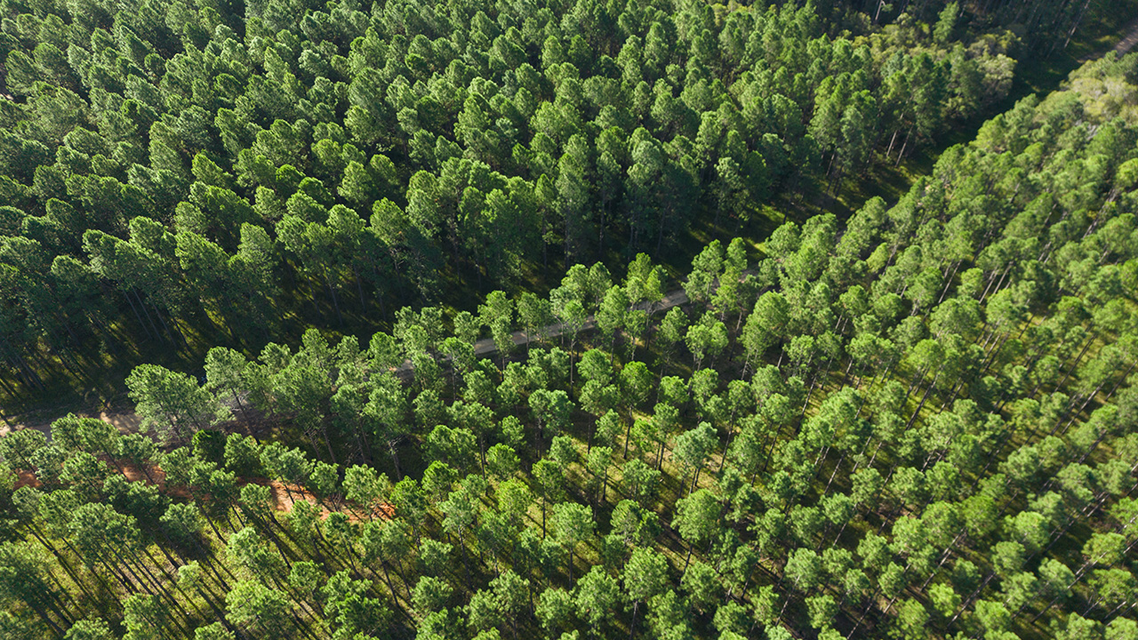 Contact - Strategic Biofuels
